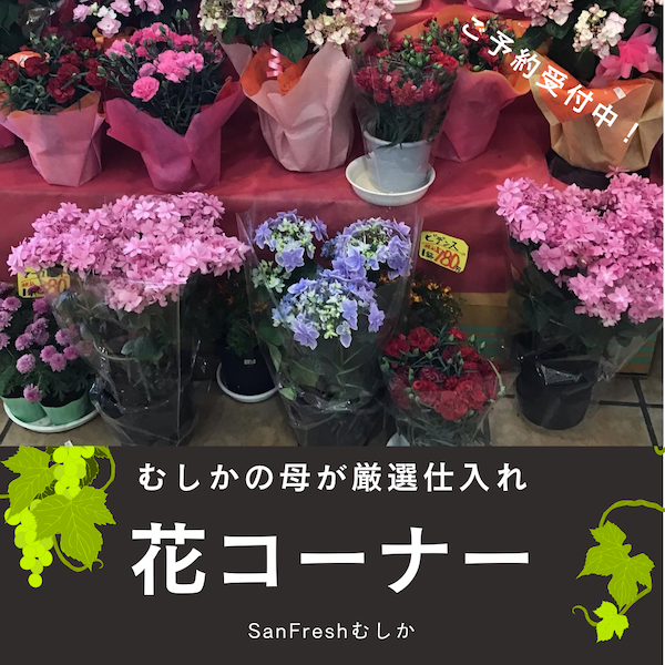 花コーナー